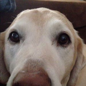 Meet your Posher, Kelli